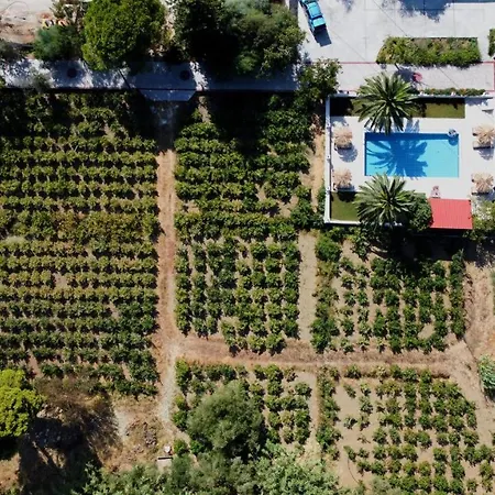 Zissis & Pool 5min Drive To Vila Kato Yerakarion