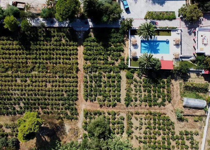 Zissis & Pool 5min Drive To Villa Kato Yerakarion